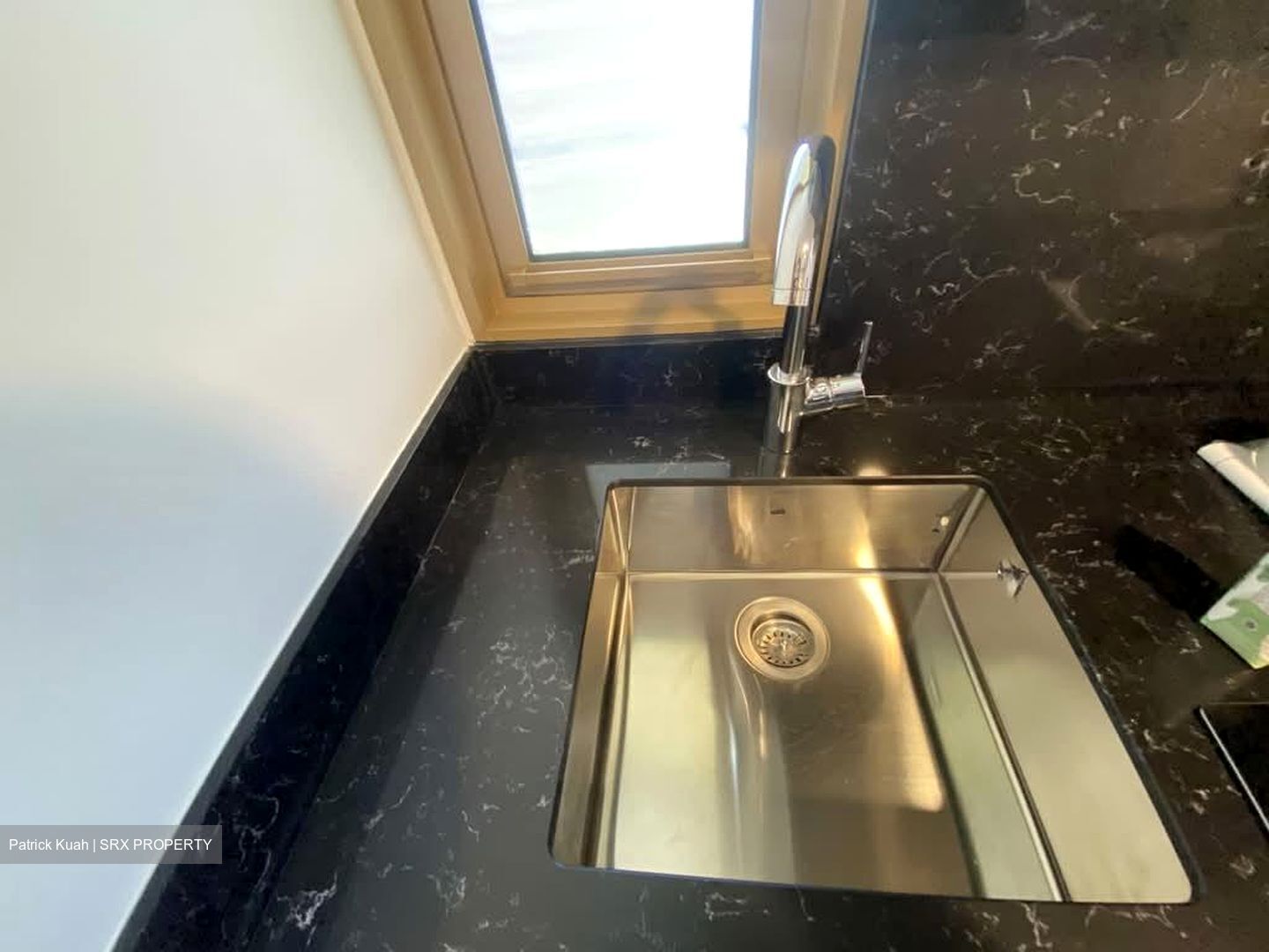 Draycott Park (D10), Condominium #539711351